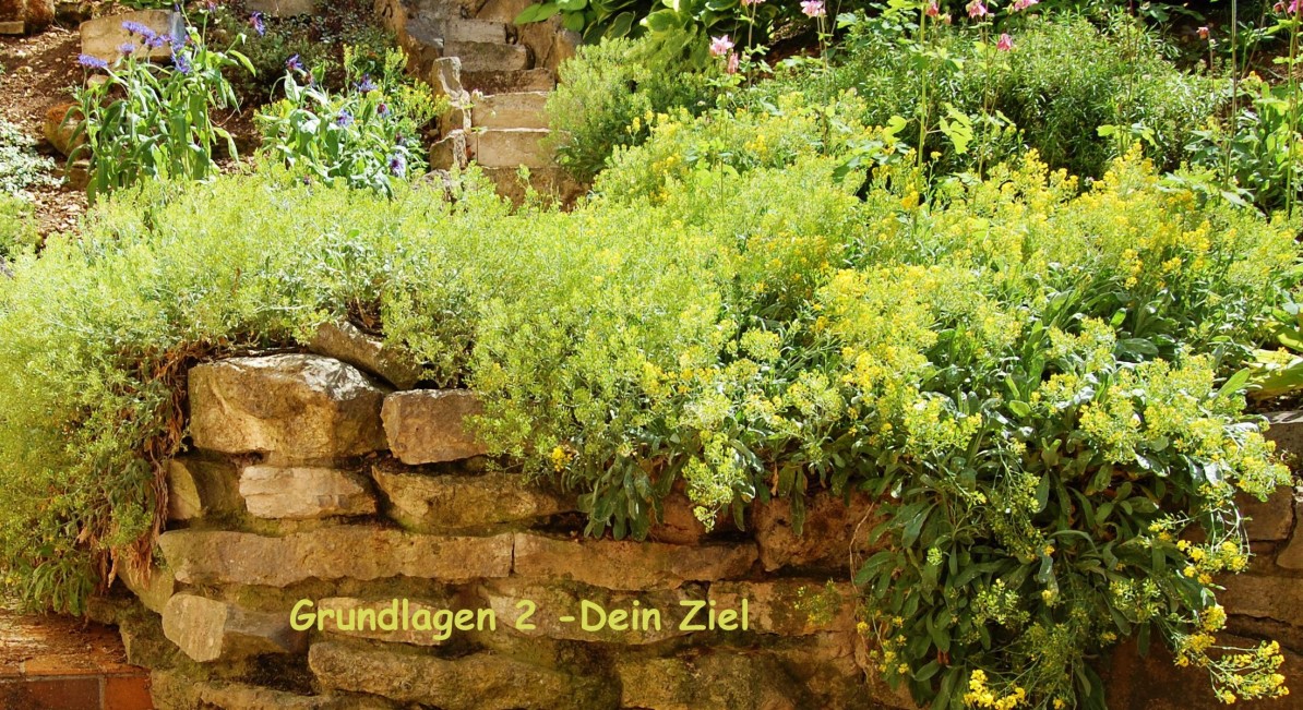 Grundlagen 2 - Dein Ziel