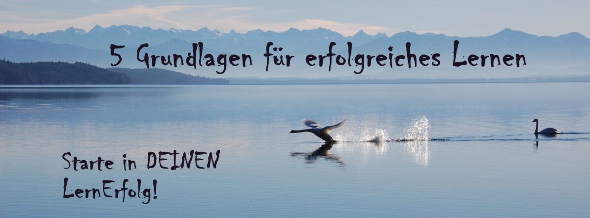 Schwan startet erfolgreich Titelbild für Online-Kurs zu Grundlagen des Lernens